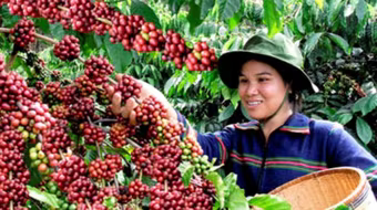 Tháng 3 Tây Nguyên rộn rã với Lễ hội cà phê Buôn Ma Thuột 