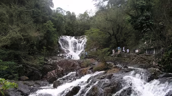 Tổng cục Du lịch đề nghị làm rõ vụ du khách và hướng dẫn viên tử vong tại Đà Lạt
