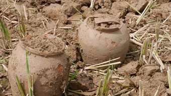 Phát hiện nhiều cổ vật nghìn năm tuổi ở Thành nhà Hồ