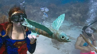 Hòa nhạc dưới nước