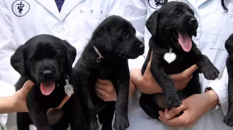 Trung Quốc đã sẵn sàng "sản xuất"… con người