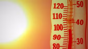 Nhiệt độ nóng "không tưởng", hơn 500 người Nhật Bản phải nhập viện