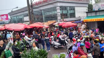 Hà Nội: Chợ hoa ngày cuối năm