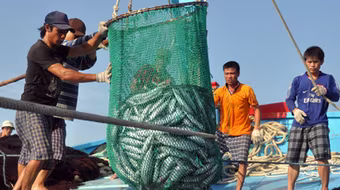 Nhiều giải pháp hỗ trợ ngư dân sau sự cố môi trường do Formosa gây ra