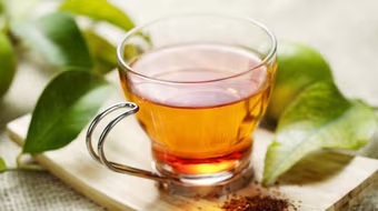 Tác dụng của Kim ngân hoa trong ức chế virus