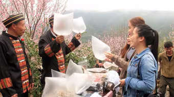 Bán túi khí sạch cho du khách thành thị