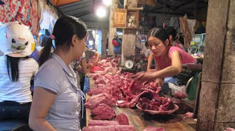 Quản lý chất độc gây ung thư salbutamol: Bộ, ngành "đá" nhau, người dân lãnh đủ