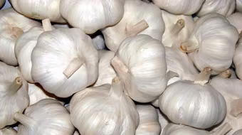 Tỏi Trung Quốc tung hoành vì giá rẻ