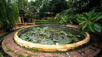 Không bảo tồn nguyên gốc một cách phiến diện