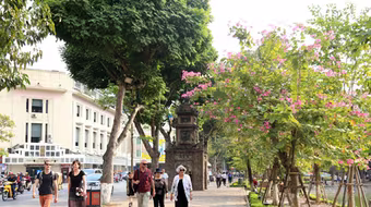 Để người nước ngoài hết "sợ" giao thông Hà Nội