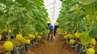 "Chìa khóa" cho nông nghiệp công nghệ cao