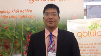 "Kẻ ngoại đạo" làm giàu từ trồng… cà chua công nghệ cao