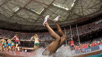 50 bức ảnh đẹp nhất của làng thể thao thế giới năm 2015