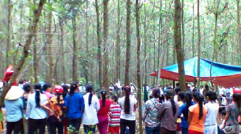 Nghi án học sinh lớp 9 treo cổ tự tử trong vườn tràm