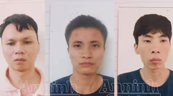 Băng nhóm chuyên trộm két sắt sa lưới