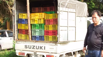 Chặn vụ vận chuyển 16.000 con gà giống nhập lậu