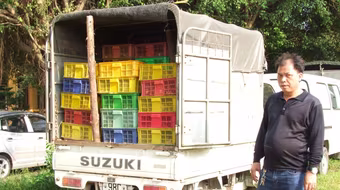 Bắt giữ xe ôtô vận chuyển 16.000 con gà giống nhập lậu                                  