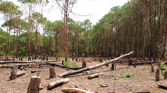 Kẻ phá hoại đứng trong hàng ngũ