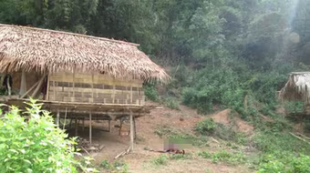 Bắt nghi phạm giết hại dã man 4 người trong một gia đình ở Nghệ An