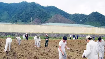 Gặp những người ăn Tết trong trại cai nghiện ma túy