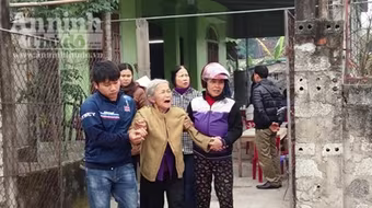 Đi cày, người đàn ông bị trâu nhà húc chết