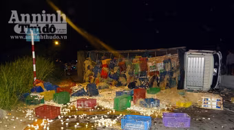 Húc phải trụ biển báo, xe ô tô chở trứng lật nhào bên giữa đường