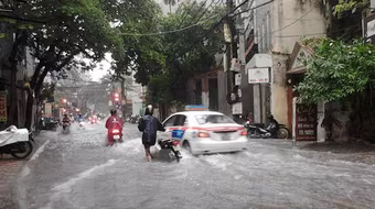 Hà Nội: 3 người bị thương, 100 cây xanh bị đổ trong cơn bão số 3