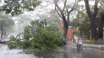 Bão số 3 làm 6 người chết và mất tích, 4 người bị thương