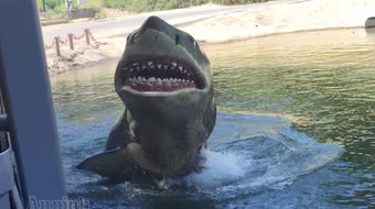 Tận xem công nghệ phim trường Hollywood (I): Cá mập trắng dọa du khách