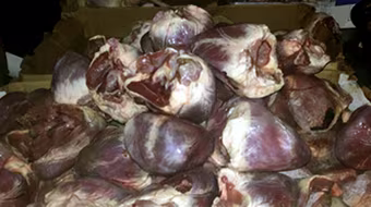 Thu giữ 360kg tim lợn đông lạnh và 125 lọ thuốc diệt cỏ