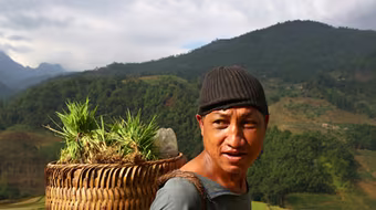 Ngắm "bức họa" khổng lồ trên mù sương Y Tý