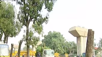 Hà Nội có quyết định Thanh tra toàn diện về thực hiện thay thế cây xanh trên địa bàn thành phố 