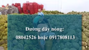 Công bố đường dây nóng tố giác vi phạm vệ sinh an toàn thực phẩm