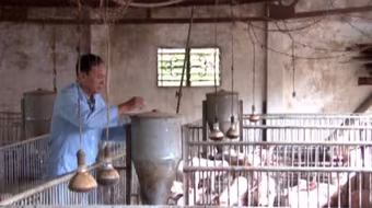 Vay vốn tam nông dựng cơ ngơi bạc tỷ