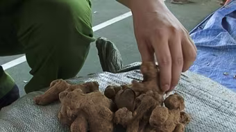 Bắt quả tang vụ vận chuyển hơn 5 tấn dược liệu không rõ nguồn gốc