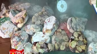 Đột kích kho nội tạng "3 không" chờ bán Tết ở Phú Xuyên