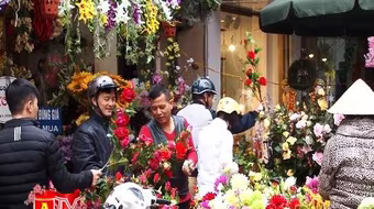 Thủ đô ngập tràn sắc xuân