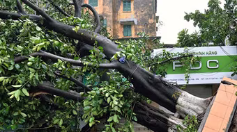 Hỗ trợ các gia đình có người tử nạn và bị thương do mưa bão ở Phú Xuyên