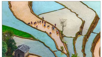 Việt Nam đẹp mơ màng qua ống kính của các nhà nhiếp ảnh Hà Nội