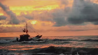 Ngỡ ngàng trước vẻ đẹp Việt Nam