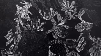 Họa sỹ Lê Văn Thìn và Trần Ngọc Hưng cùng "Yêu"