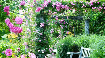 Không gian "Tiệc yêu" dành tặng các cặp tình nhân