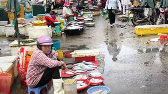 Vụ cá chết hàng loạt: Công bố số điện thoại nóng hỗ trợ ngư dân