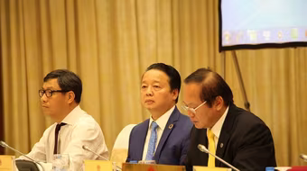 Formosa - thủ phạm làm cá chết hàng loạt - phải bồi thường 500 triệu USD