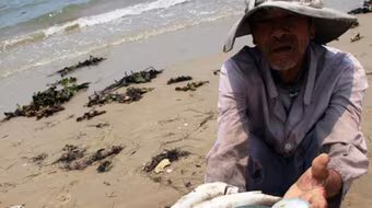 7 nhóm đối tượng được bồi thường do sự cố môi trường Formosa