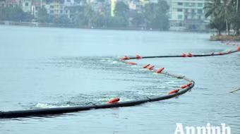 Hà Nội sẽ thông tin về nguyên nhân cá chết bất thường ở hồ Tây 