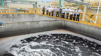 Lập hội đồng đánh giá việc khắc phục hậu quả vi phạm của Formosa