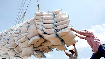 Ông Ngô Văn Nam nói gì về phản ánh "xin phép xuất khẩu gạo tốn 20.000 USD"?