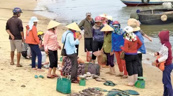 Cục An toàn thực phẩm: Chưa đủ cơ sở khẳng định hải sản miền Trung an toàn