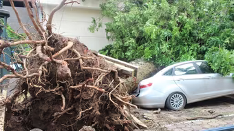 Không dự báo được giông lốc